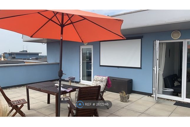 Master Terrace