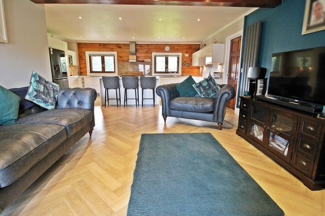 Kitchen-Diner-Family Room