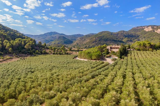 Country house for sale in Country Estate, Son Serralta, Puigpunyent, Mallorca, 07194