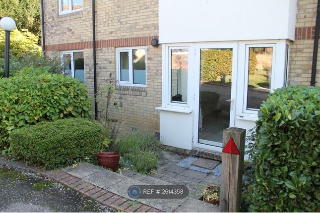 Outside View Of Property