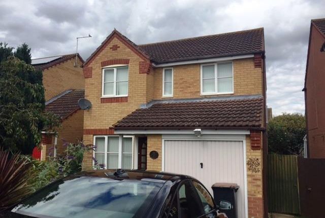 Thumbnail Detached house to rent in Hay Close, Rushden