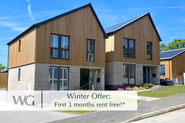 Winter Offer