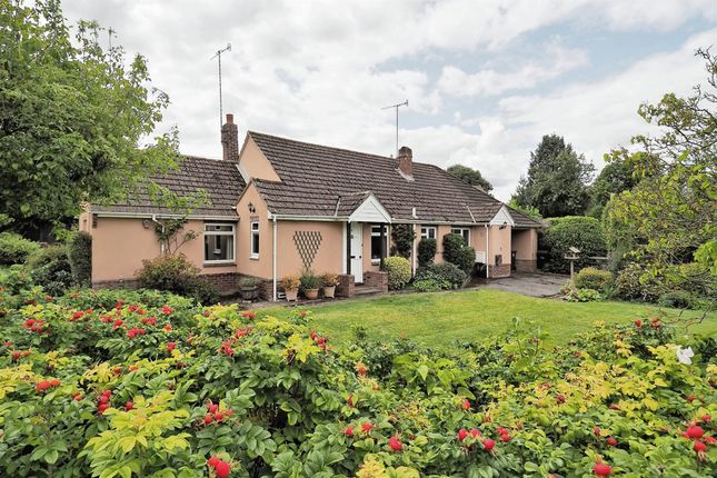 Detached bungalow for sale in Bourne Close, Porton, Salisbury