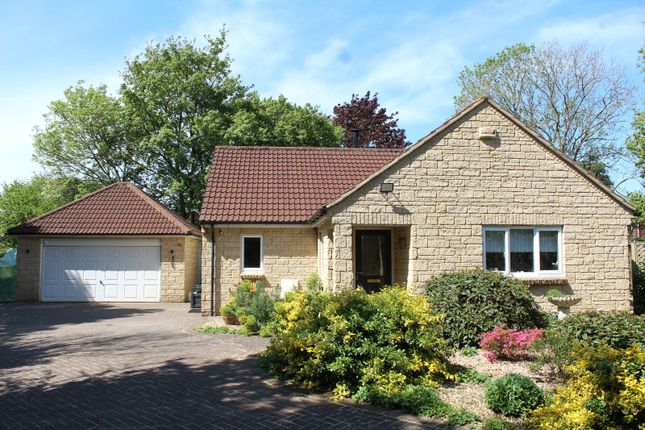 Thumbnail Detached bungalow for sale in Bramble Way, Wincanton, Somerset