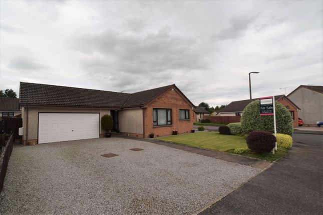 Thumbnail Detached bungalow for sale in 10 Blackley Park Road, Dumfries