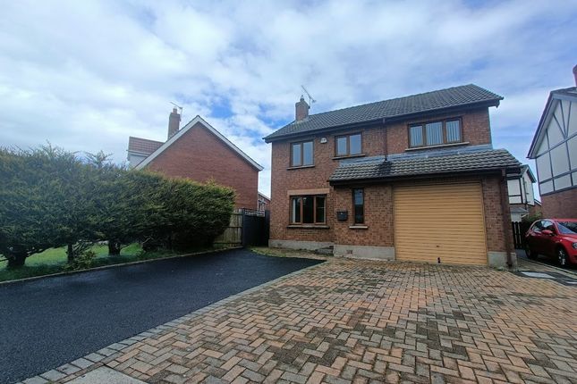 Thumbnail Detached house to rent in Brookvale Avenue, Bangor, County Down