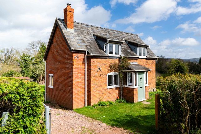 Cottage to rent in Coddington, Ledbury, Herefordshire