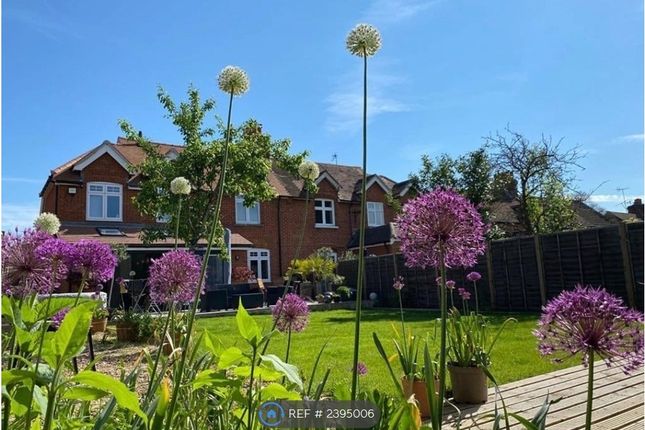 Pirbright Cottages, Fox Corner, Guildford photo 5