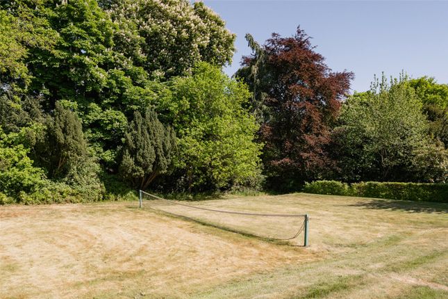 Grounds