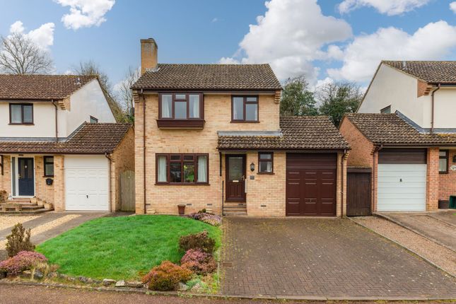 Detached house to rent in Westernlea, Crediton
