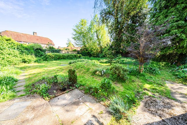 Apiary House, Charlton Road, Chichester photo 3