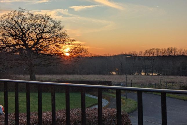 Balcony At Sunset