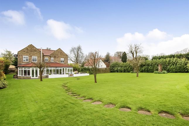 Thumbnail Country house for sale in Denton, Darlington