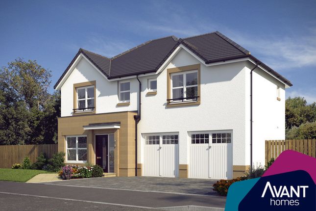 Thumbnail Detached house for sale in "The Westbury" at Cochrina Place, Rosewell