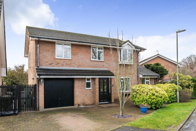 Thumbnail Detached house for sale in Saddlers Close, Boyatt Wood, Eastleigh