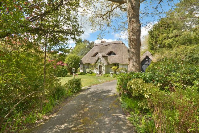 Detached house for sale in Spinney Lane, West Chiltington, Pulborough, West Sussex