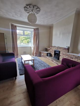 Thumbnail Property to rent in Rosehill, Mount Pleasant, Swansea