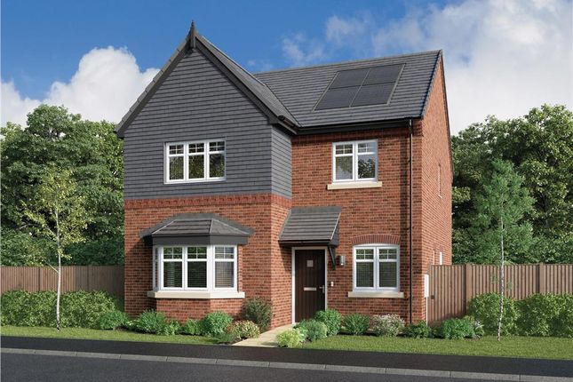 Thumbnail Detached house for sale in "Barford" at Starflower Way, Mickleover, Derby
