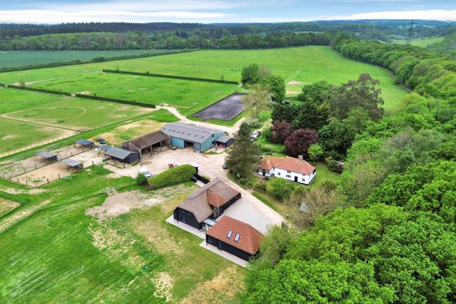 Thumbnail Equestrian property for sale in South Lodge Road, Stelling Minnis, Canterbury, Kent