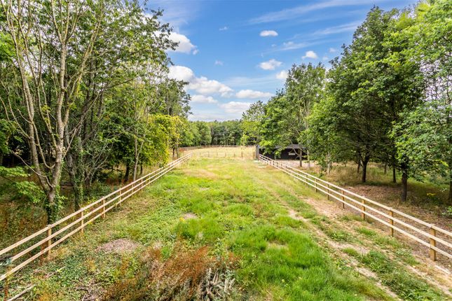 Detached house for sale in Forestside, Rowland's Castle, West Sussex