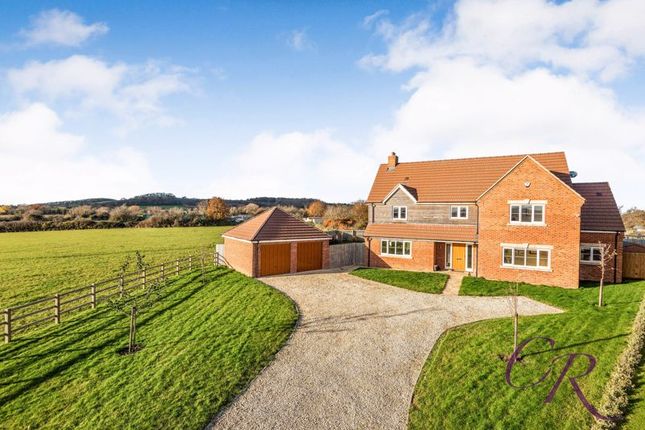 Thumbnail Detached house for sale in Lime Close, Norton, Gloucester