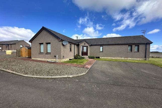 Detached house for sale in 3, Westcroft Cottages, Tenanted Investment, Carmyllie, Arbroath DD112Rj