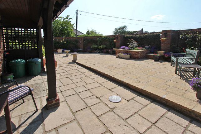 Picture 19