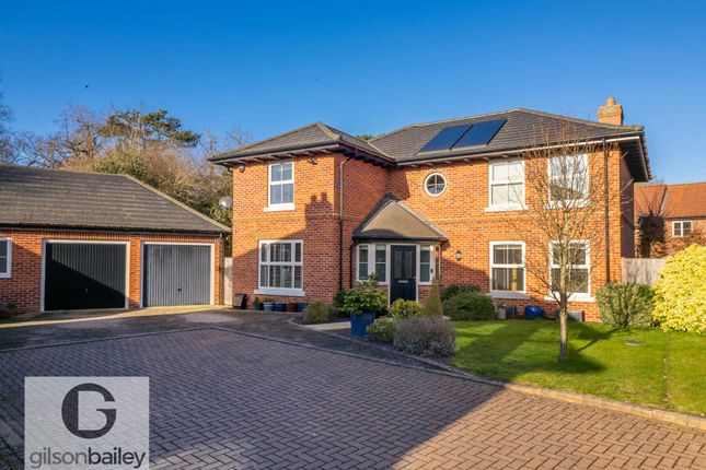 Thumbnail Detached house for sale in Symonds Close, Blofield