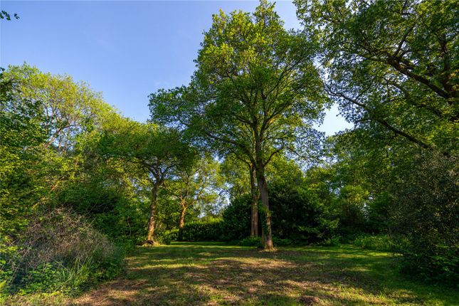 Woodland