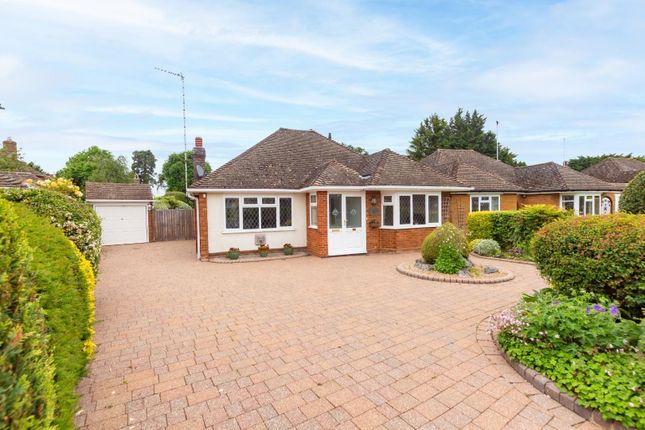 Thumbnail Detached bungalow to rent in Grove Park, Tring