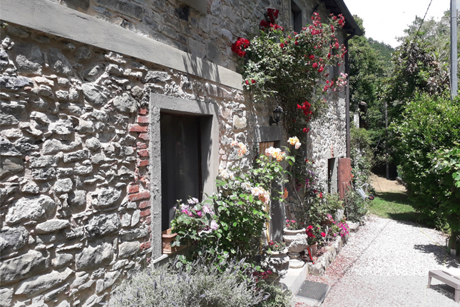 Thumbnail Country house for sale in Camporgiano, Lucca, Tuscany, Italy
