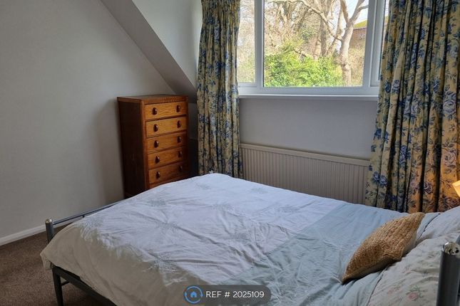 Thumbnail Room to rent in Ringwood Drive, Southampton