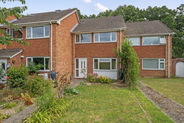 Thumbnail Terraced house to rent in Whitmore Green, Farnham, Surrey