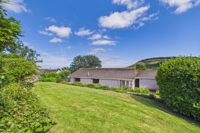 1 Alexander Court, Chute Lane, St. Austell photo 3