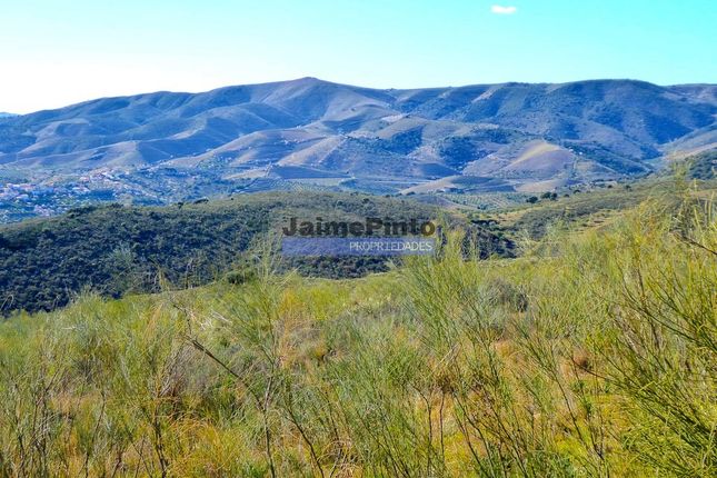 Thumbnail Land for sale in 15Ha Agricultural Land For Vineyard, Olive Grove, Almond Trees, Portugal
