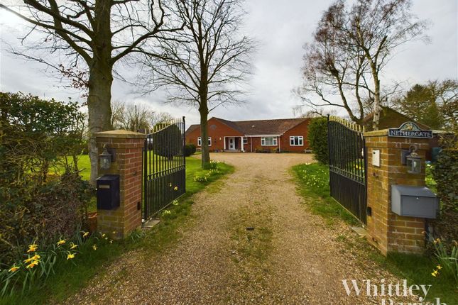 Thumbnail Bungalow for sale in Wymondham Road, Bunwell, Norwich