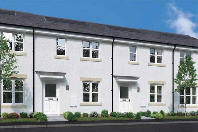 Thumbnail Mews house for sale in "Halston Mid" at Calender Avenue, Kirkcaldy