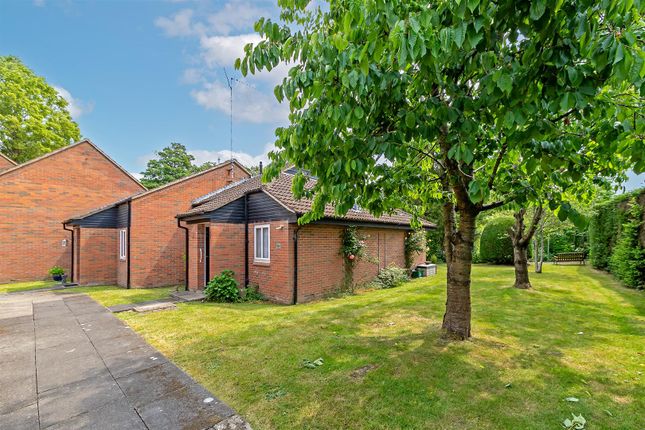38, The Beeches, St. Albans photo 4