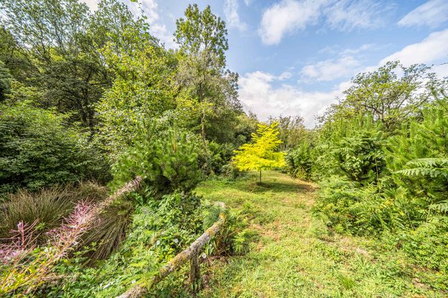 TROED YR ONEN, Gwernogle SA32, GWERNOGLE photo 3