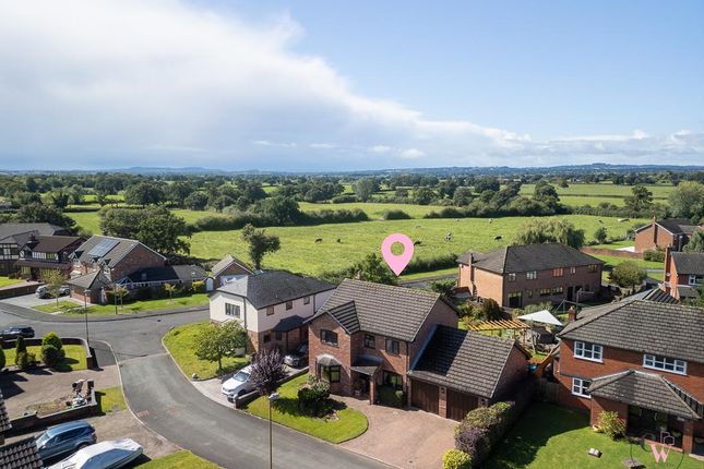 Dji_0937-Edit.Jpg