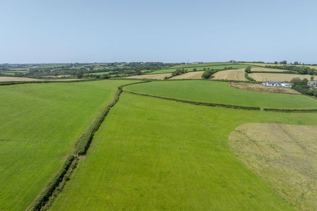 Gratton Hill Farm [Lot 1], Milton Damerel, Holsworthy photo 2