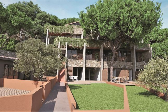 Property for sale in Collioure, Languedoc-Roussillon, 66, France