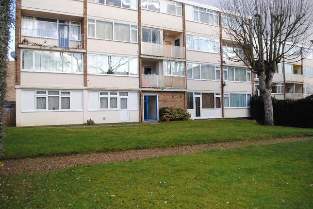 Park Place, Woking photo 4