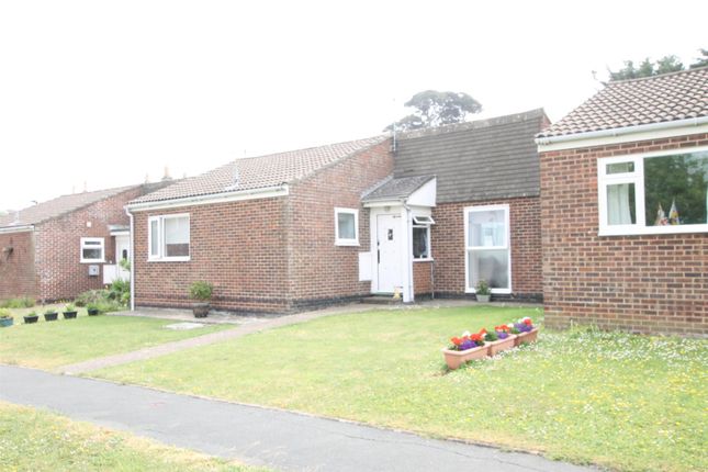 Thumbnail Detached bungalow to rent in Lodge Close, Brighstone, Newport
