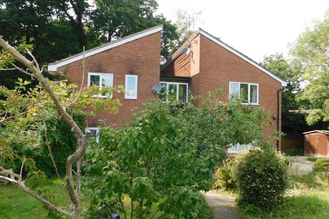 Studio flat on Wellington Avenue, Whitehill, £695/mo