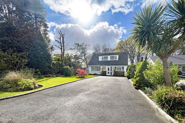 Thumbnail Detached house for sale in Sea Road, Carlyon Bay, Cornwall