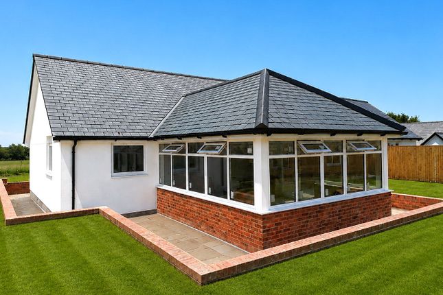 8, Long Park Drive, Holsworthy photo 4