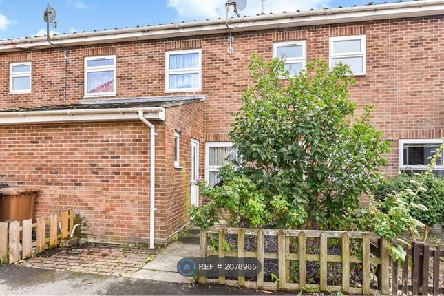 Thumbnail Terraced house to rent in Andover, Andover