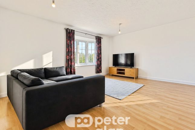 149, Cardiff photo 2