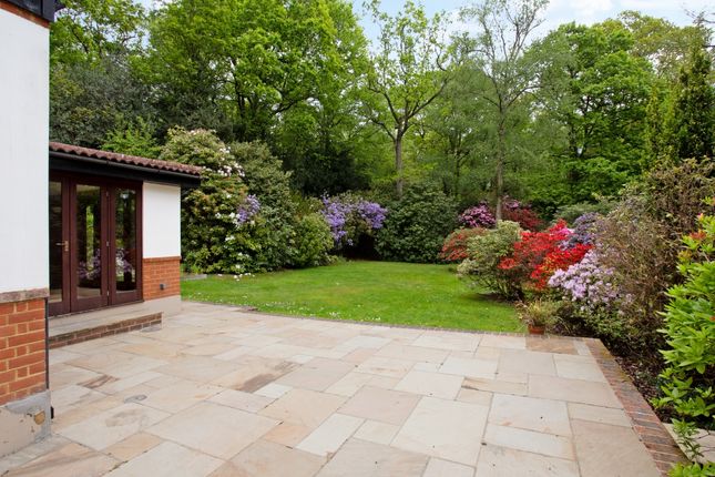 Tower Barn Lodge ...